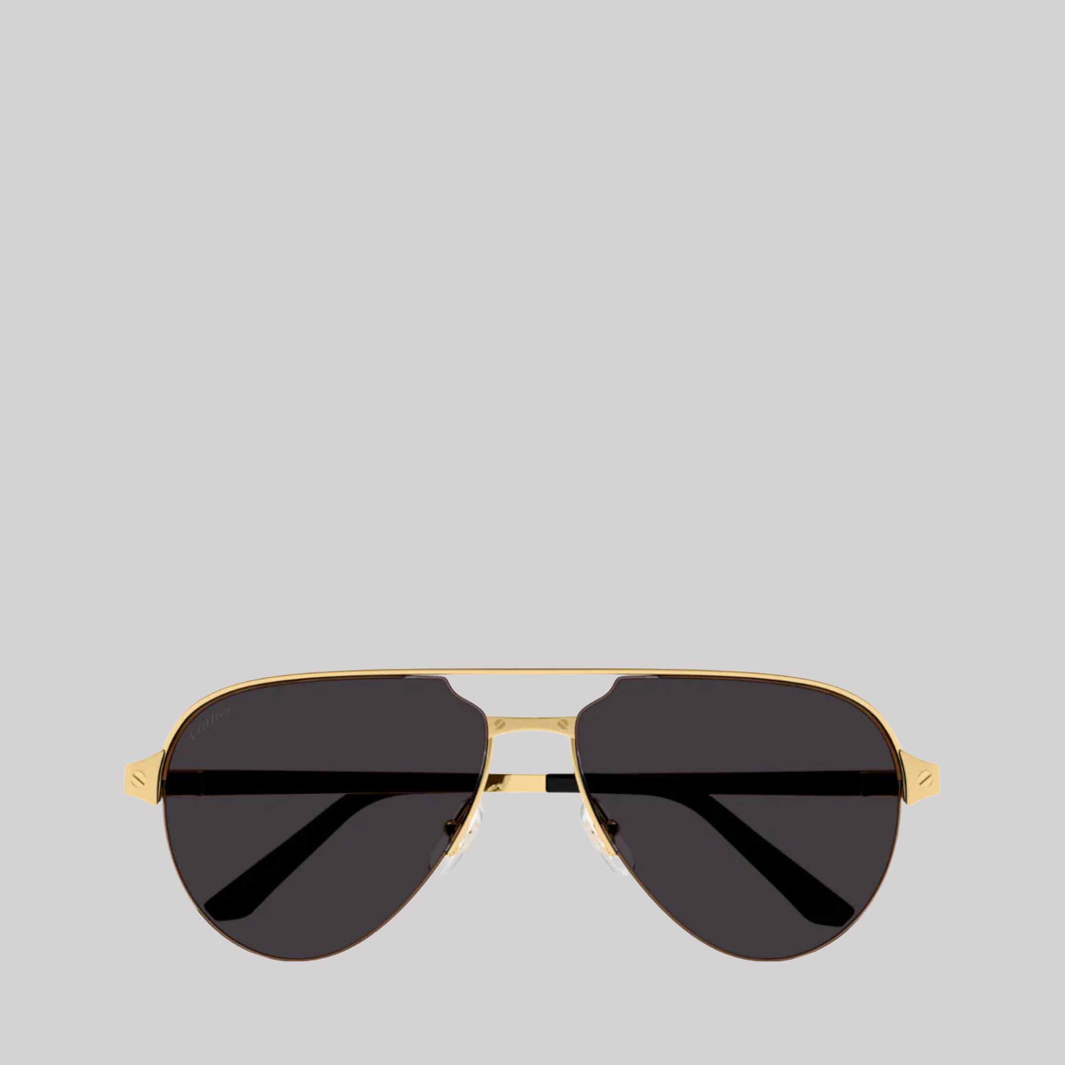 Santos De Cartier CT0386S Aviator Sunglasses