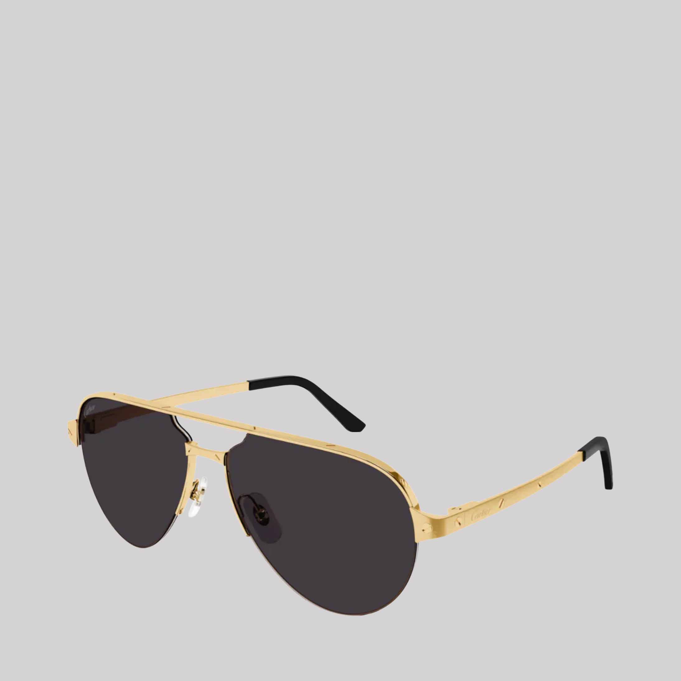 Santos De Cartier CT0386S Aviator Sunglasses