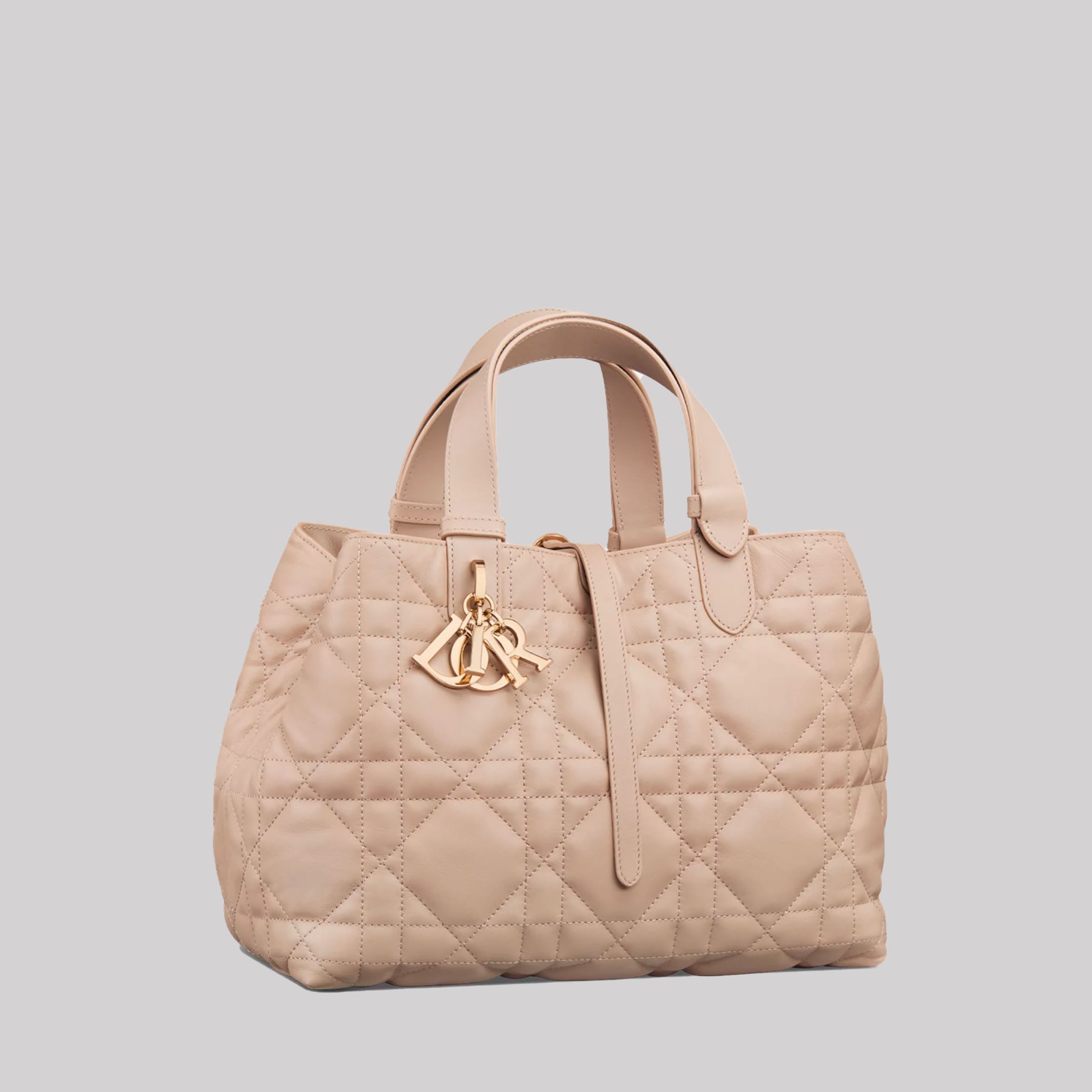 Medium Dior Toujours Bag