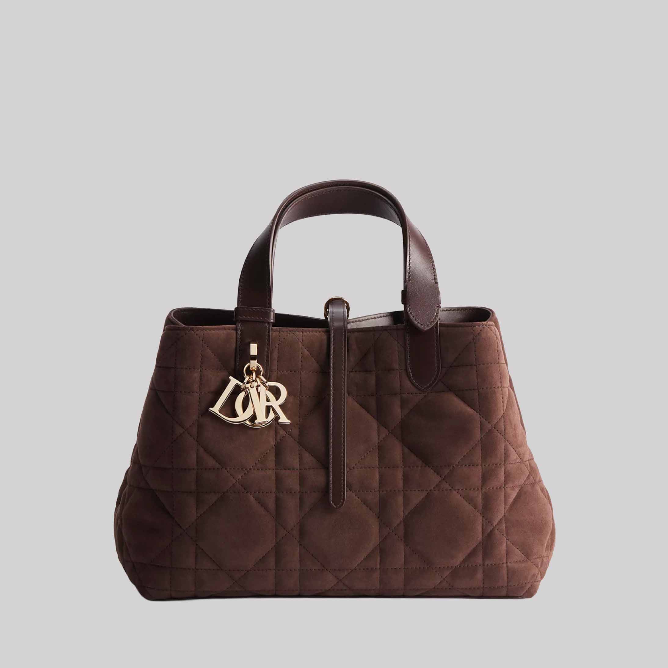 Medium Dior Toujours Bag