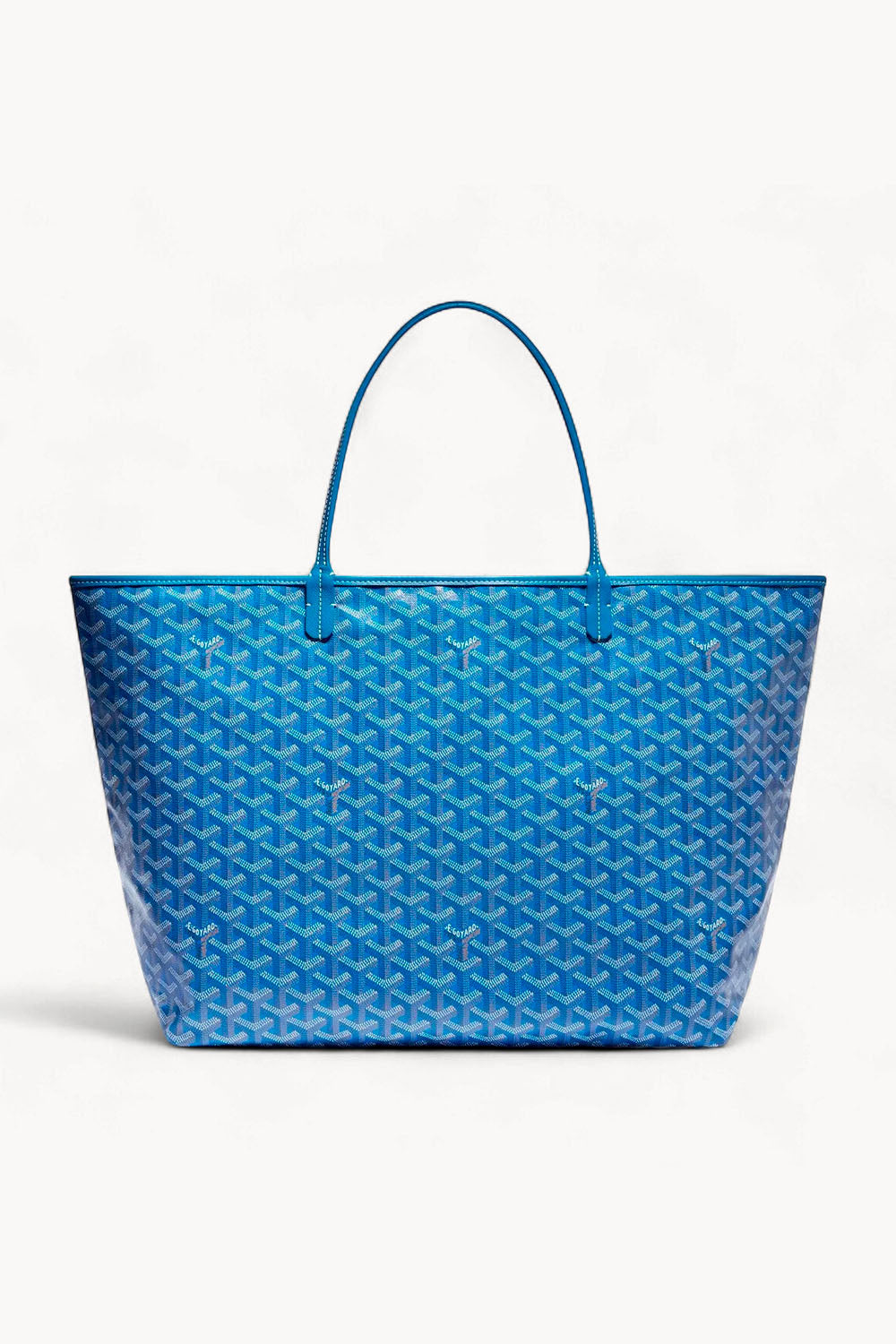 Saint Louis GM Bag