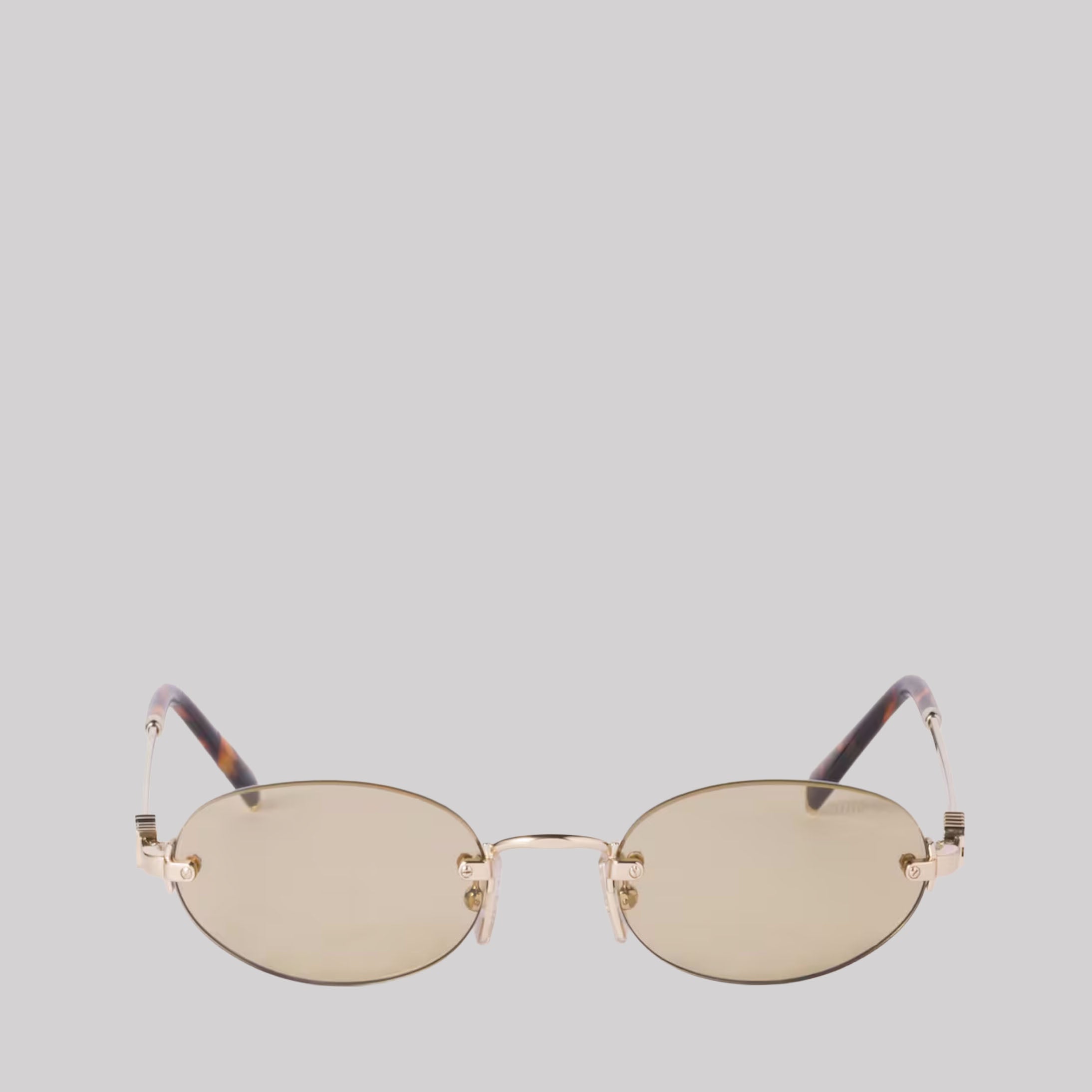 Miu Miu Logo Sunglasses