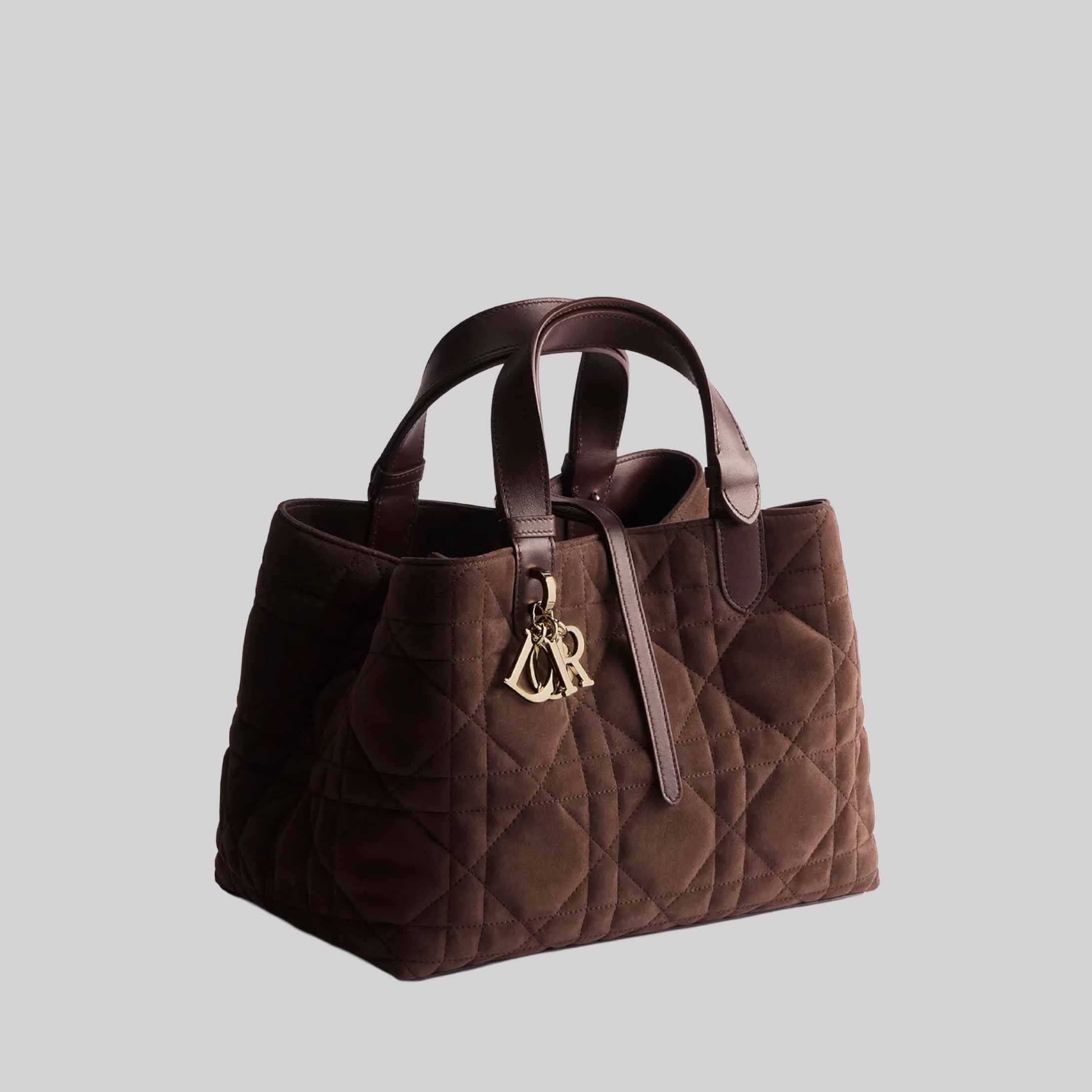 Medium Dior Toujours Bag