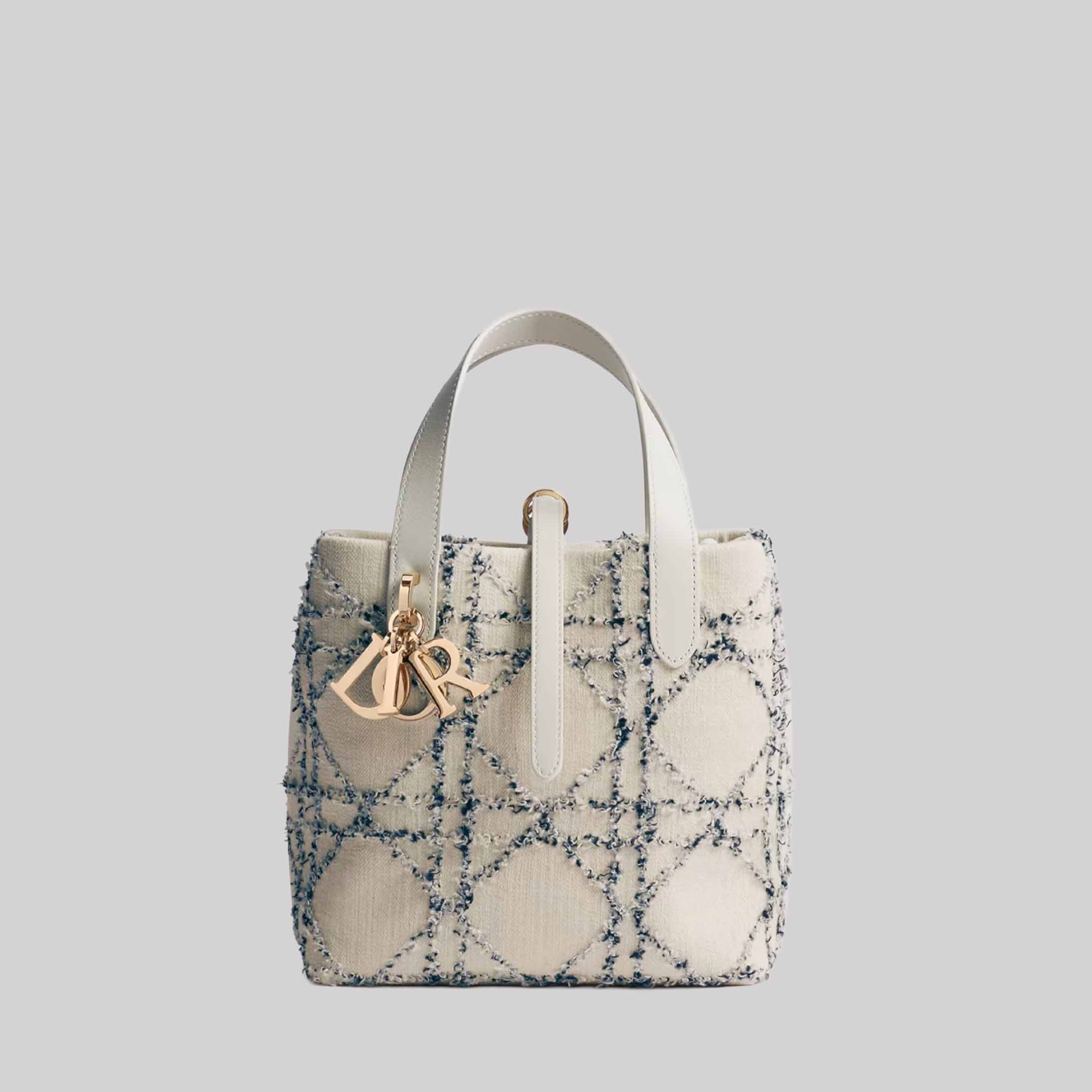 Small Dior Toujours Vertical Tote Bag