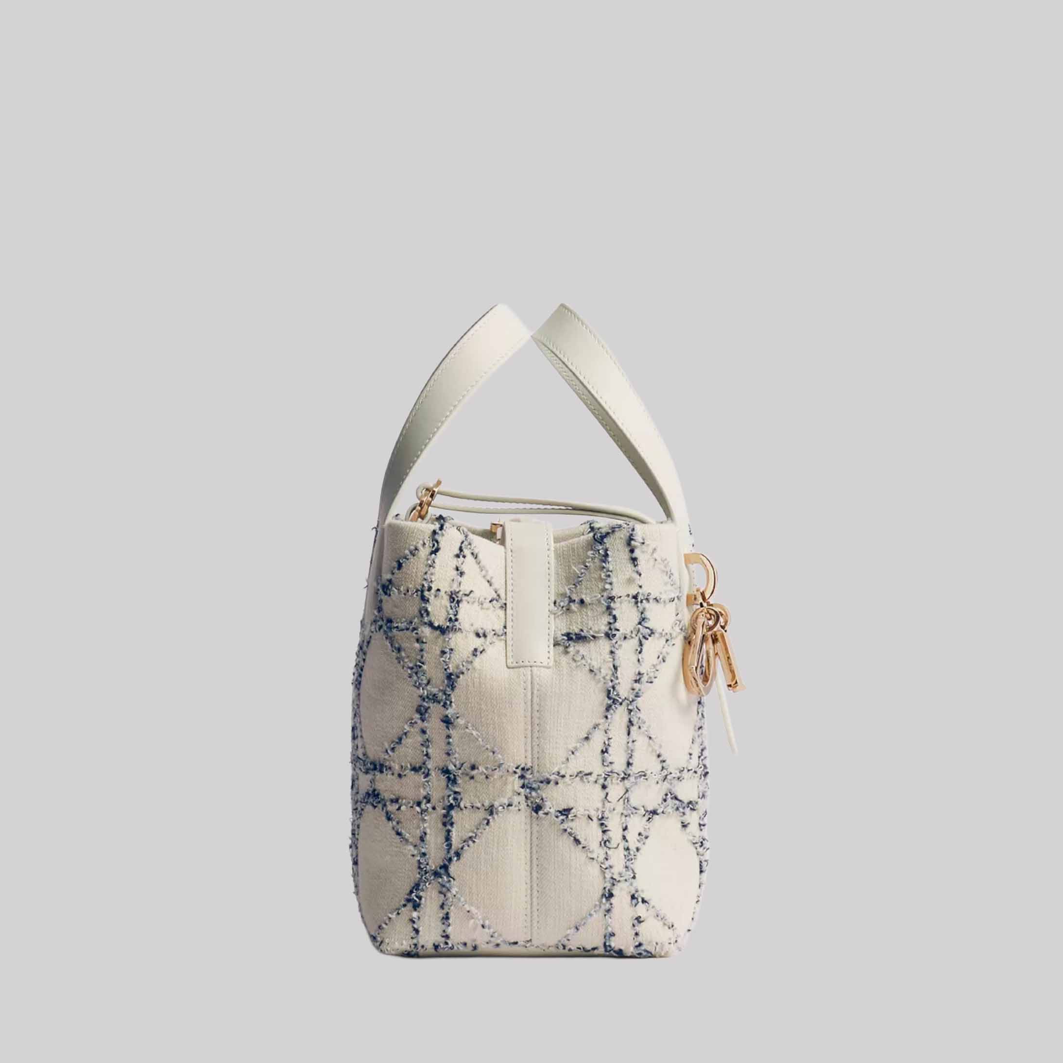 Small Dior Toujours Vertical Tote Bag